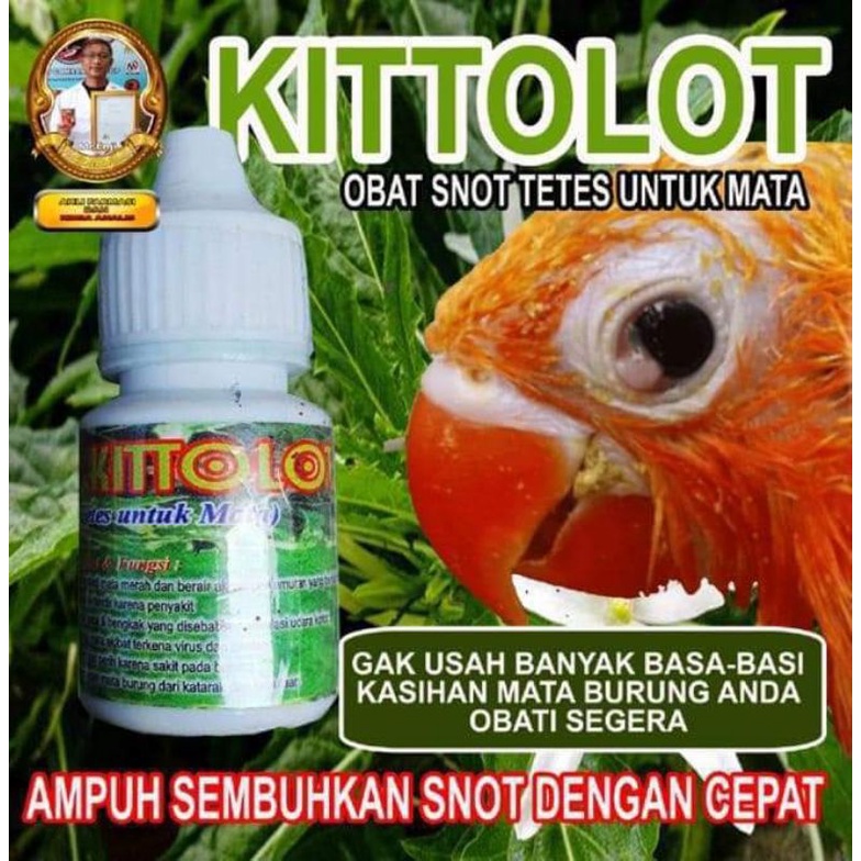 DAUN KITOLOT 10ml Obat Mata Snot Katarak Mata Berair Untuk Burung Murai Batu Lovebird Kenari Cucak H