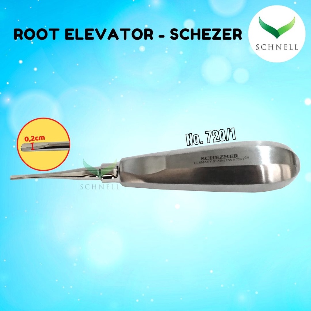 Citra Gardens Root Elevator Bein Schezer Dental Instrument
