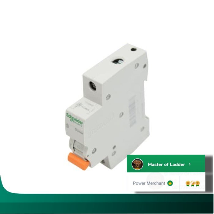 A12 Schneider Mcb Domae 20a