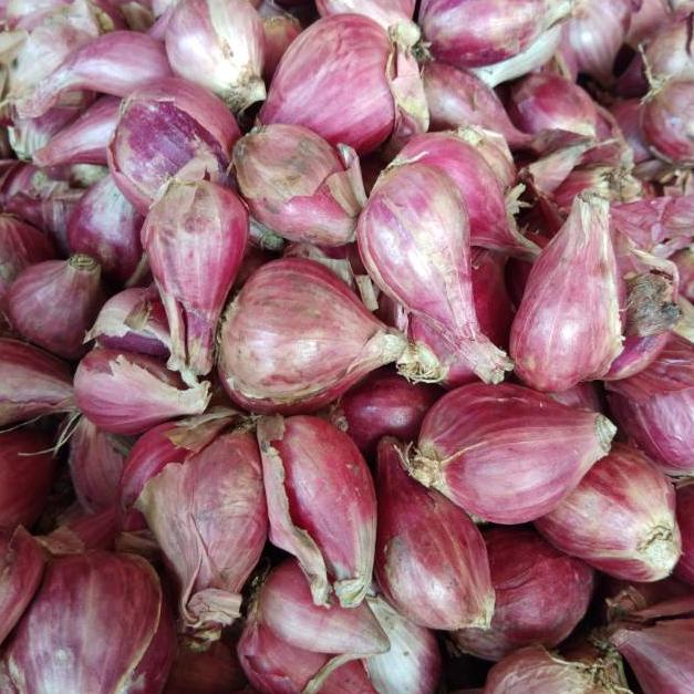 

[PRODUK 8KVCM] Bawang Merah Brebes Super 1kg MKB