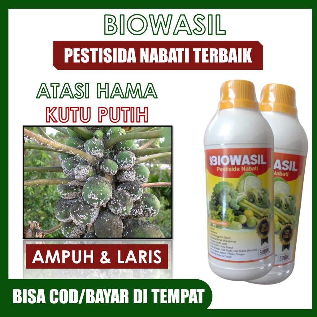 (SIAP KIRIM SEKARANG) Biowasil 500 ML Pestisida Organik Atasi Hama Kutu Putih Terbaik – Pestisida Na