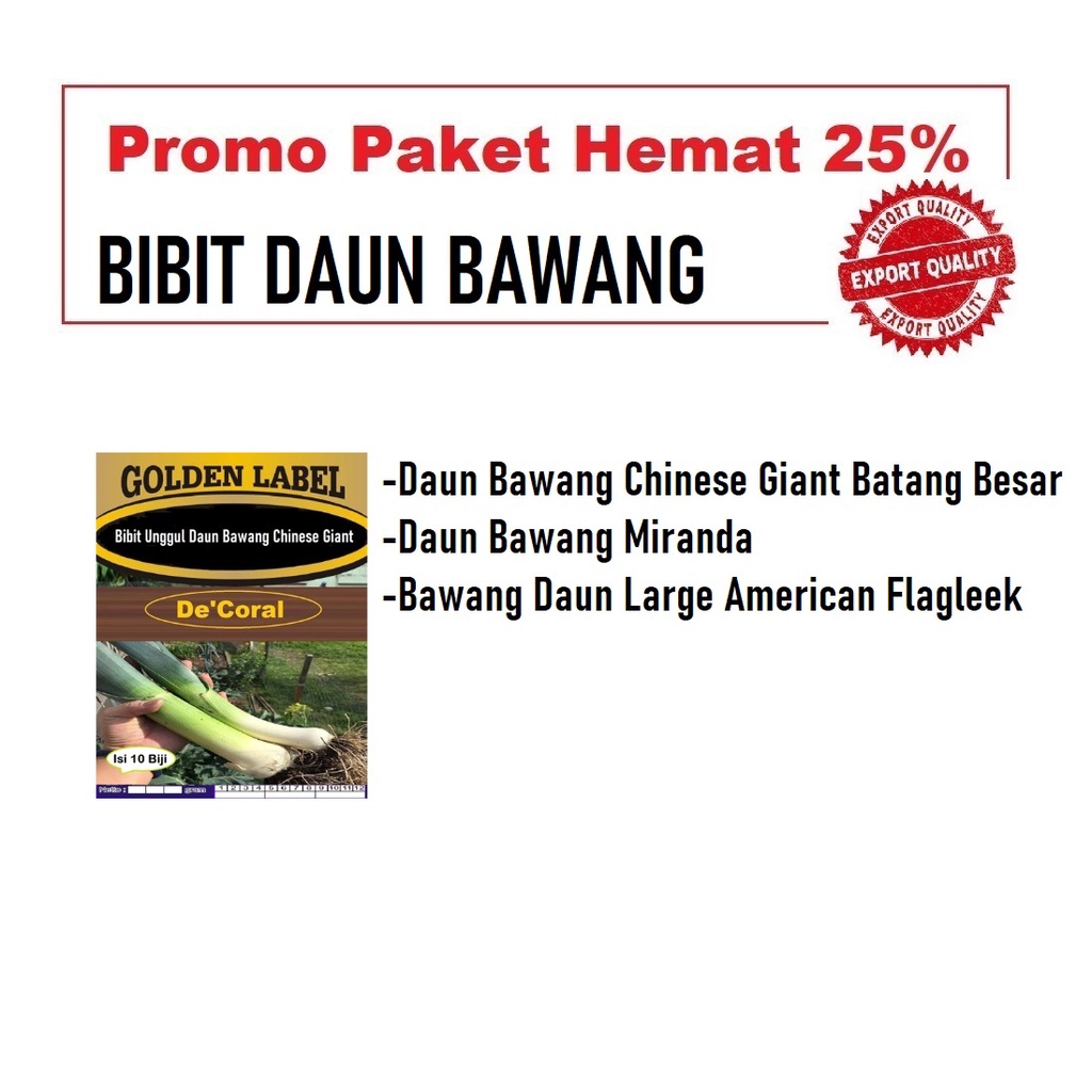 Promo Bibit Daun Bawang Chinese Giant Batang Besar,Daun Bawang Miranda,Bawang Daun Large American Fl