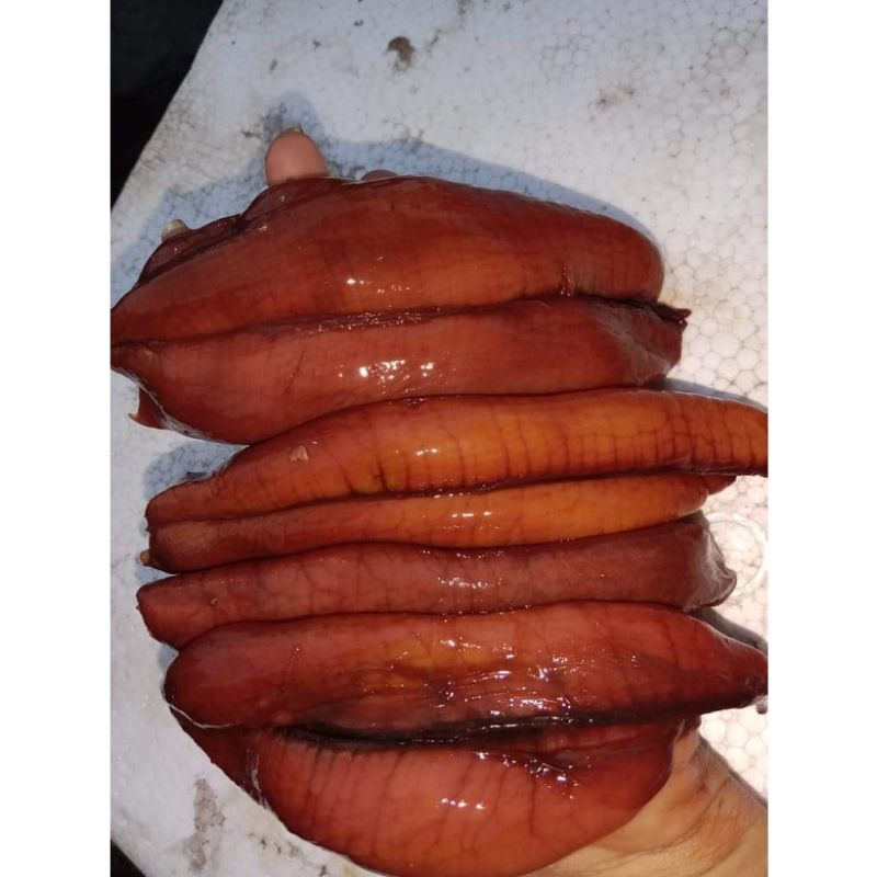 

Telor Ikan Tuna