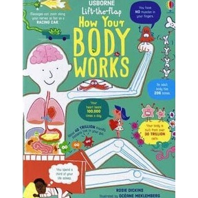 Ready Buku Usborne Book Lift The Flap How Your Body Works