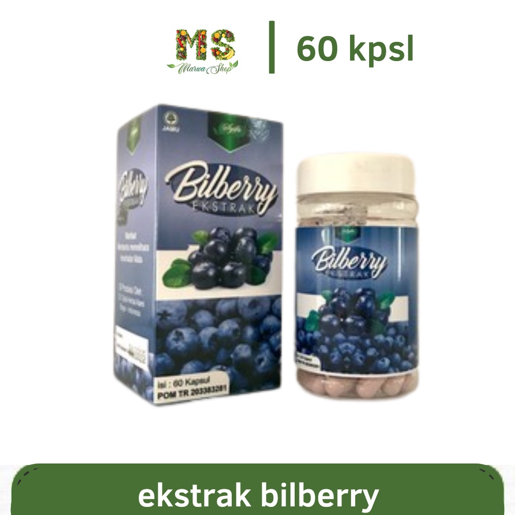 Ekstrak Bilberry Syifa 60 Kpsl Obat Mata Minus Plus Silinder Katarak Rabun Glaukoma Merah Bengkak Berair