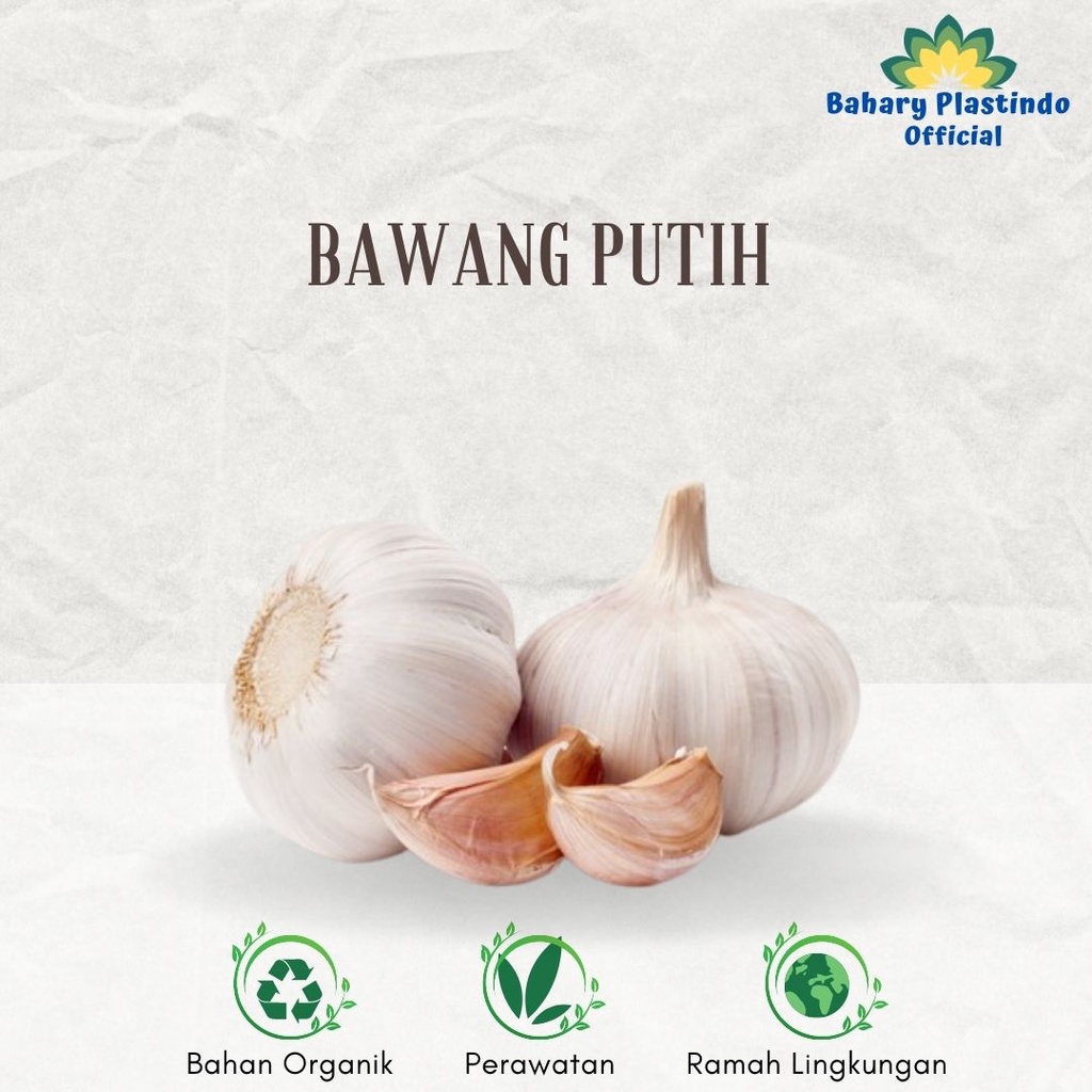 

Bumbu Dapur Bawang Putih Mentah 500 Gram