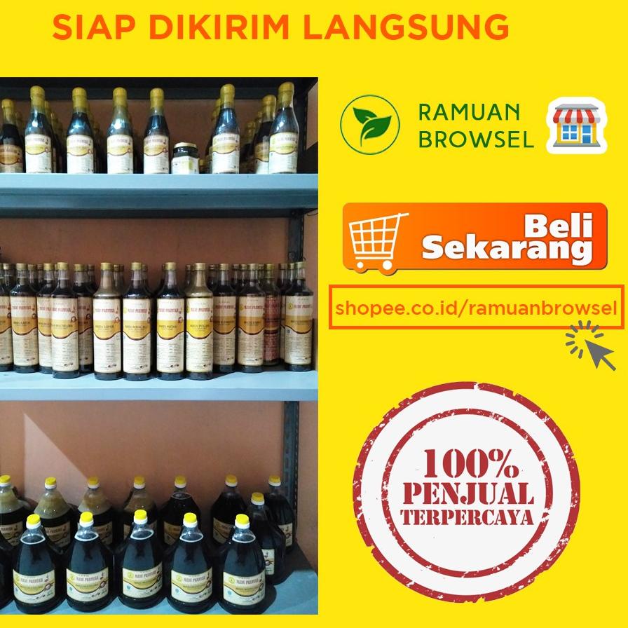 

GRATIS ONGKIR✅Madu Super Pramuka Galon 2000 ml (Madu + Pollen + Royal Jelly) Alami|KD1