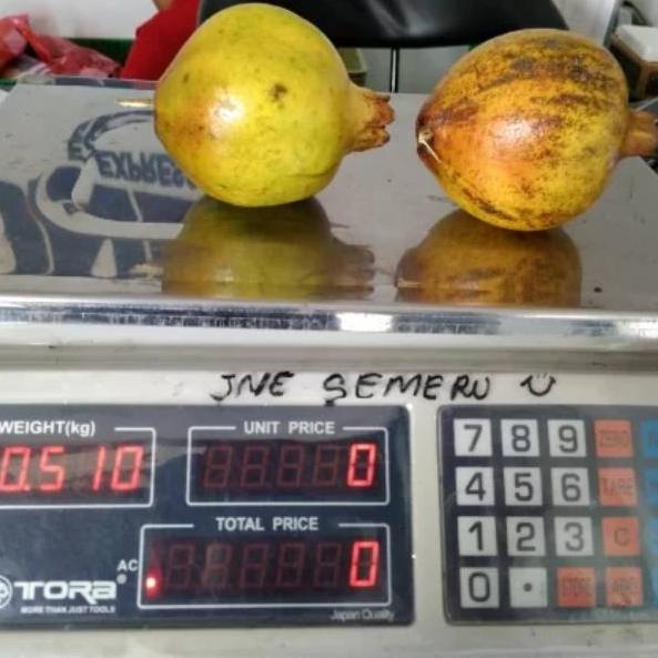 

BEST RATING Buah delima putih berat isi 500gram ☭ 853