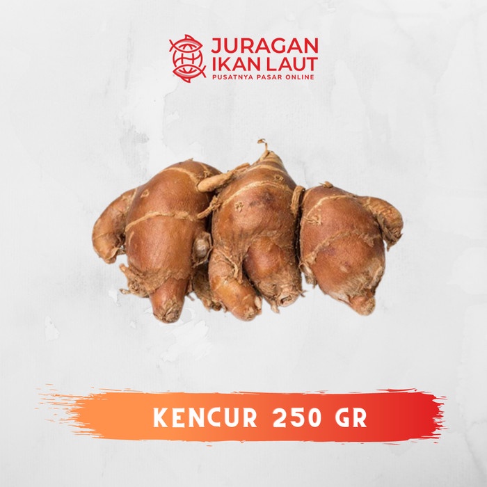 

Kencur Rempah Berkualitas - 250 Gram