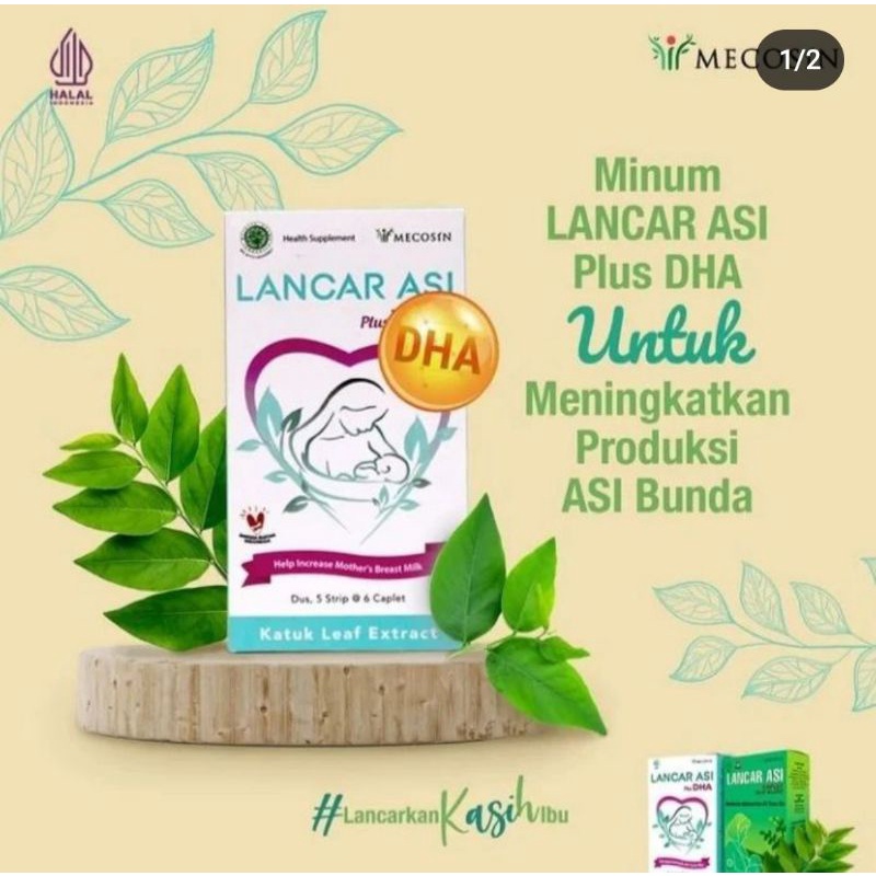 Lancar ASI plus DHA kapsul Pelancar ASI Herbal