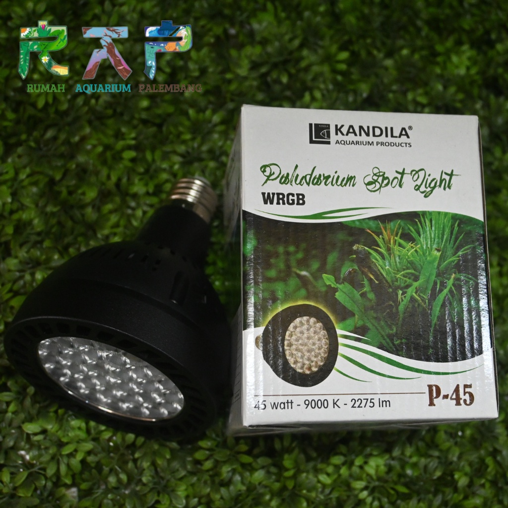 Lampu Kandila Paludarium p45 bulb