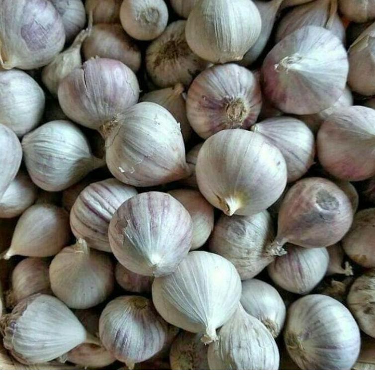 

【murah】 Bawang putih tunggal (random) berat 1 kg