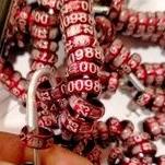 ッ RING MERPATI BALAP JATIM 2023 ゠