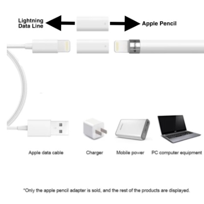 Apple Pencil Gen 1 Converter Lightning Charging Adapter 2 Female Ports