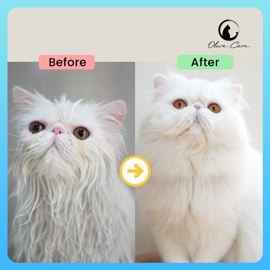 OLIVE CARE Shampo Kucing Revitalizing CONDITIONER untuk Bulu Kusam, Bulu Rusak, Bulu Kering dan Bulu Rontok