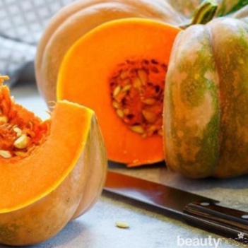 Benih Bibit Labu Parang / Labu Wuluh Organik Isi 20 Biji