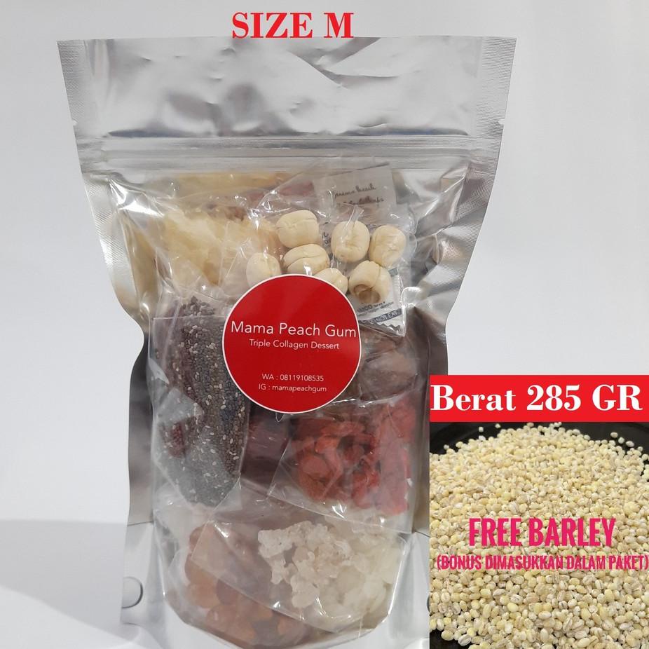 

COD✔️Triple Collagen Dessert Size M ( Peach gum , Snow bird nest , honey locust ) BONUS PEACH GUM Spt Gbr|SQ3