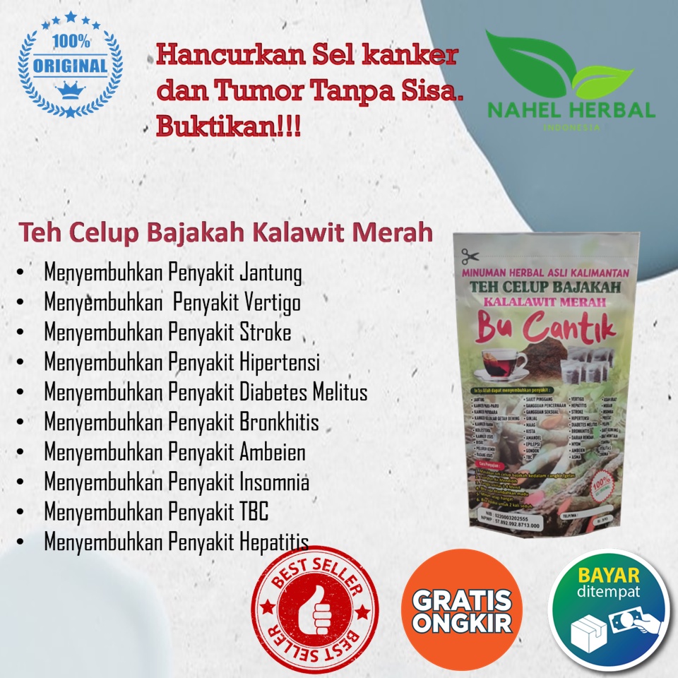 Obat Kolesterol Cina Herbal Jsr Bpom - Bajakah Kalalawit Merah - Jamu Asam Urat Nyeri Sendi Paling Ampuh 100% Original - Madu Rematik Flu Tulang Kaki Bengkak Sakit Apotik Alami - Suplemen Ramuan Super Ath Thibbun Nabawi