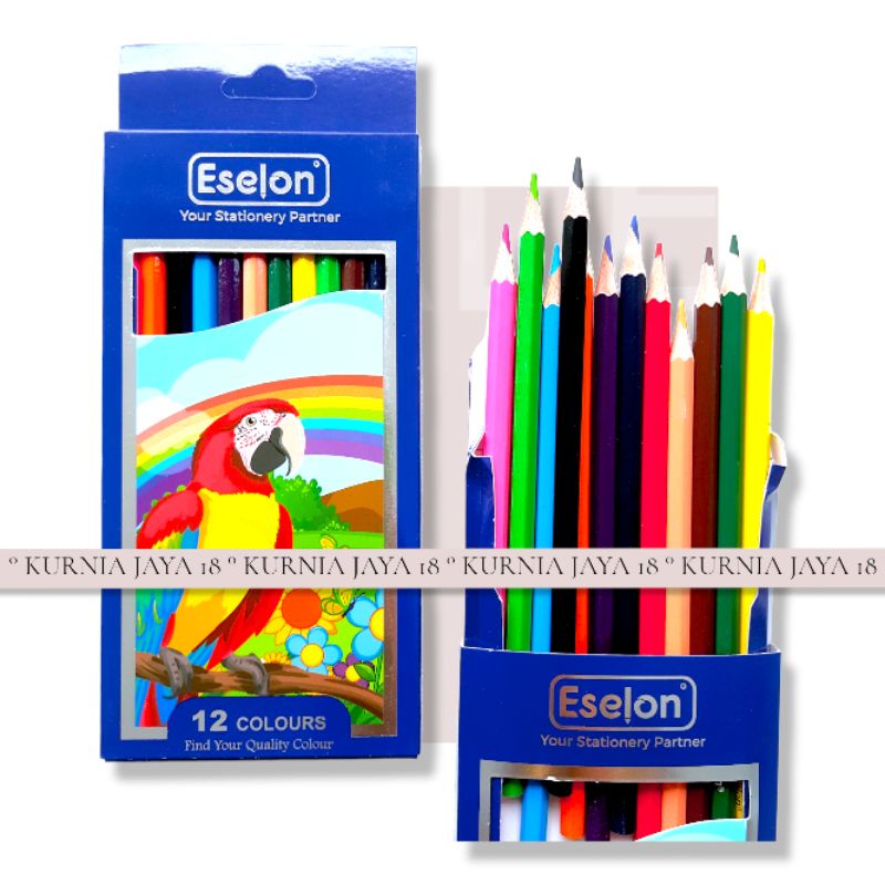 Pensil warna ESELON panjang 12warna / Pensil warna Eselon