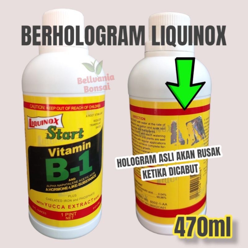 Vitamin B- 1 liquinox Tanaman hias 470ml