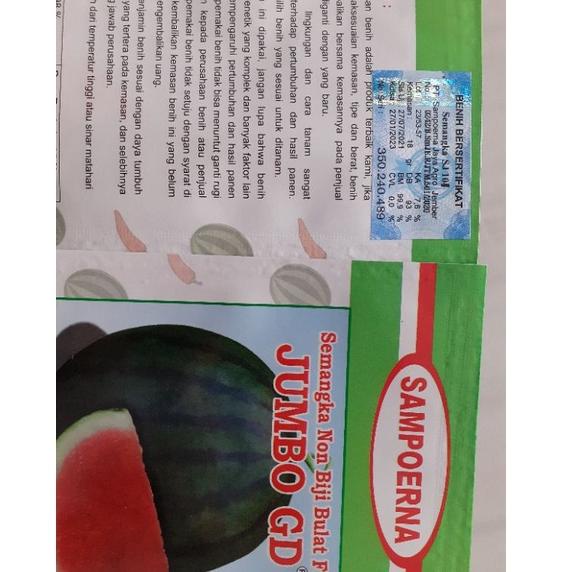 TERBARU Semangka Non Biji Bulat F1 JUMBO GD ☃ 892