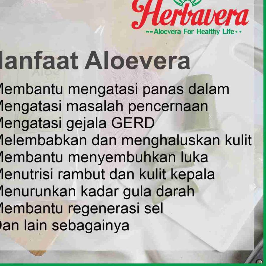 

AGG146 Lidah Buaya / Aloevera Kupas 500 gram |||