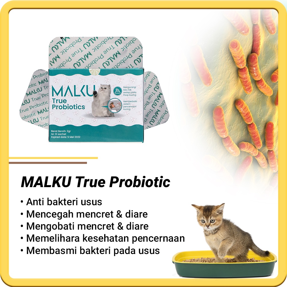 MALKU True Probiotic - MALKU Vitamin Pencernaan Kucing Mencret Diare