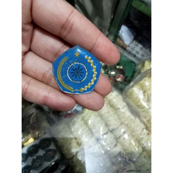 PIN PKK