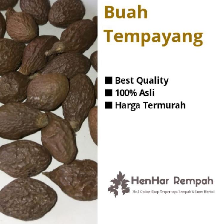 

Di⚡kon !! Buah Tempayang / Buah kembang semangkok / Beng ta hai 100 gram