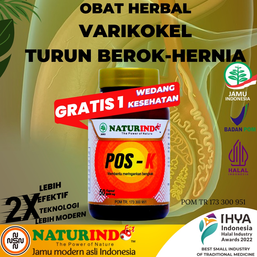 Obat hernia varikokel turun berok dewasa pria buah zakar bengkak herbal di buah zakar paling ampuh Naturindo