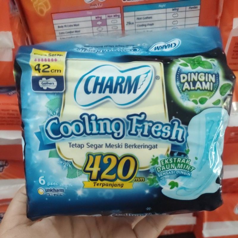 Charm Cooling Fresh Night 42cm 6pads (Sayap)