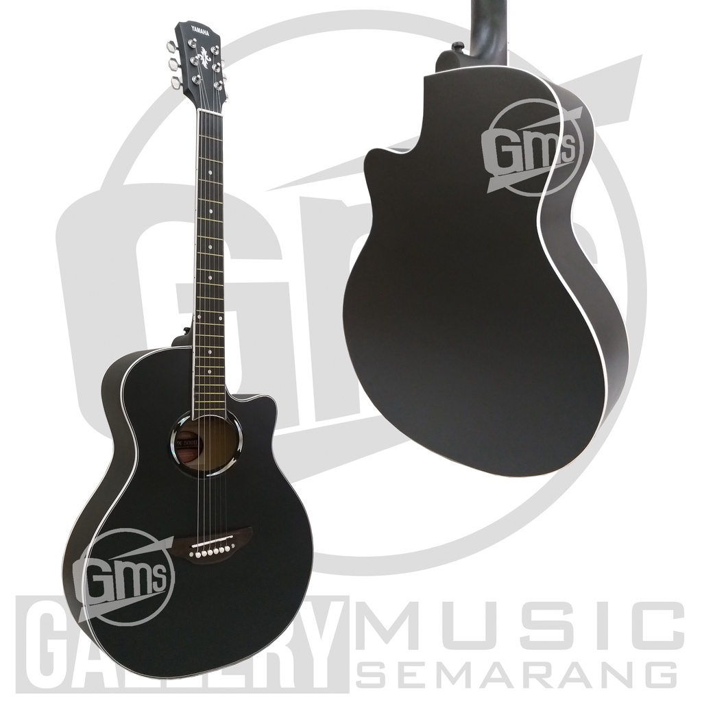 Gitar Akustik APX 500II Custom Standart Paket Super Komplit