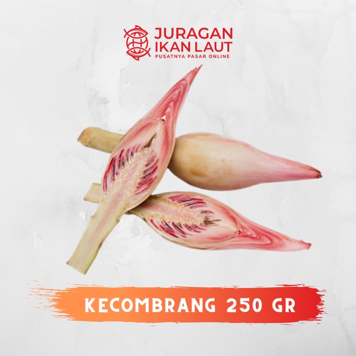 

Kecombrang Segar Berkualitas - 250 Gram