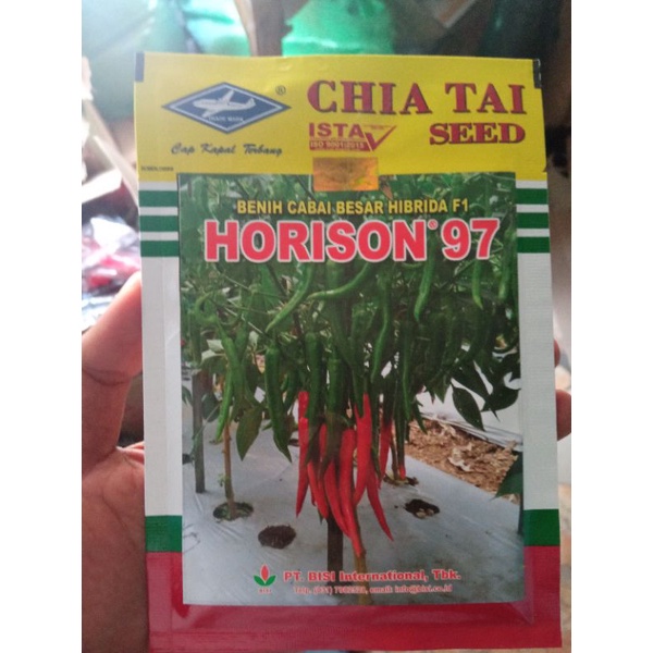 Benih cabe Besar HORISON 97 F1 isi 10gram