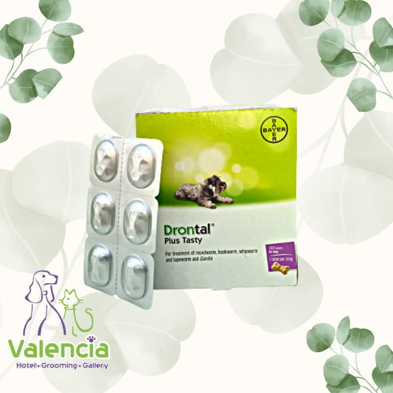Obat Cacing Anjing Drontal/Drontal Dog/Obat Cacing Anjing Murah