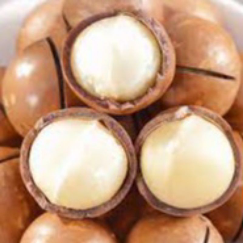 

kacang MACADAMIA/ kacang ngeselin 500gr