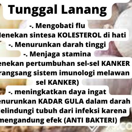 

READY ✅Bawang Putih Tunggal Lanang 500Gr|RA3