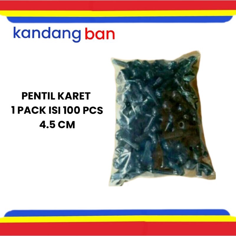 PENTIL KARET BAN TUBLES ISI 100 PCS, UNTUK MOTOR DAN MOBIL