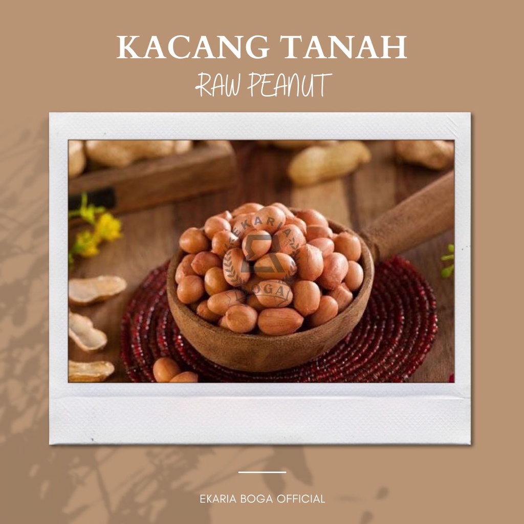 

KACANG | KACANG TANAH | KACANG MENTAH | KACANG OSE | KACANG OSE INDIA