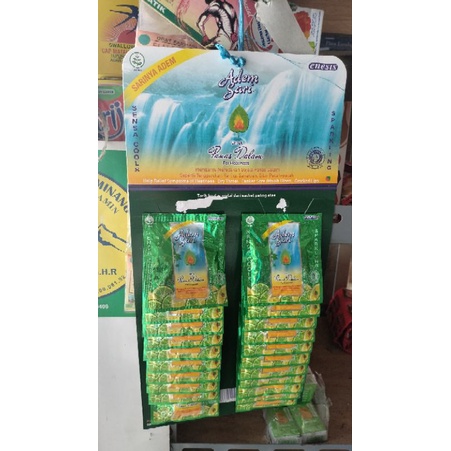 

ADEM SARI INI