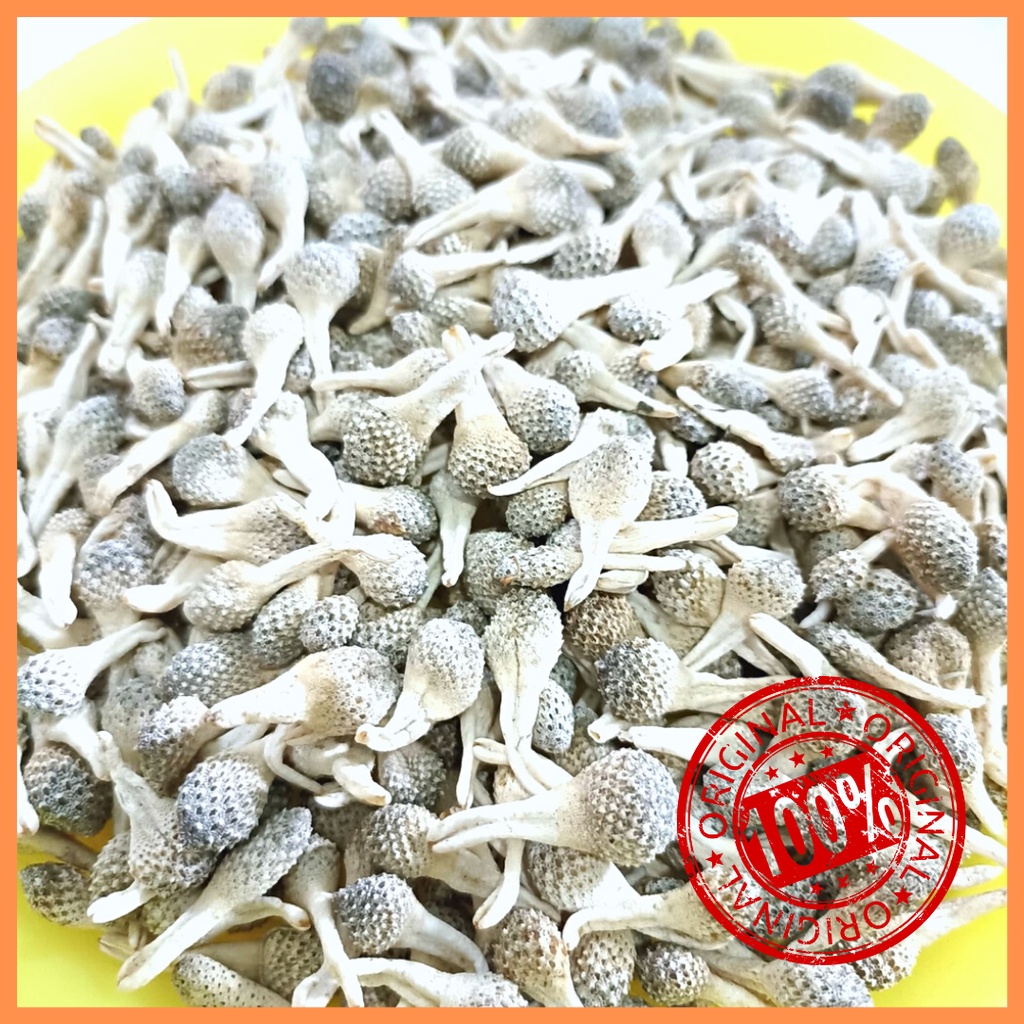 Mpot Ayam Putih Kapsul Original