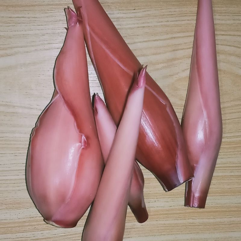 

kecombrang bunga kecombrang honje segar 1 kg