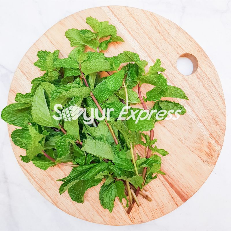 KIRIM INSTAN Daun Mint Segar / Peppermint