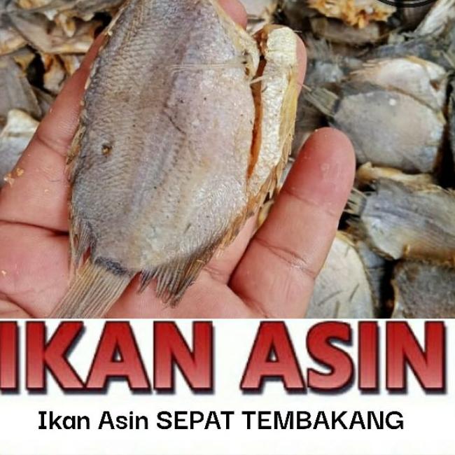 

Quality Control✅Ikan Asin SEPAT TEMBAKANG SUPER 500 gr|SQ6