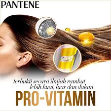 Pantene Shampoo Rambut Rontok / Anti Ketombe / Rambut Rusak / Anti Lepek 400ml