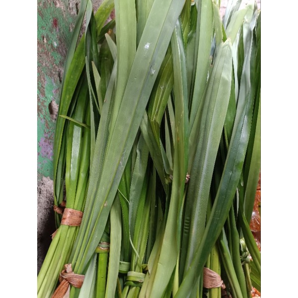 

Daun Pandan Fresh 500gr