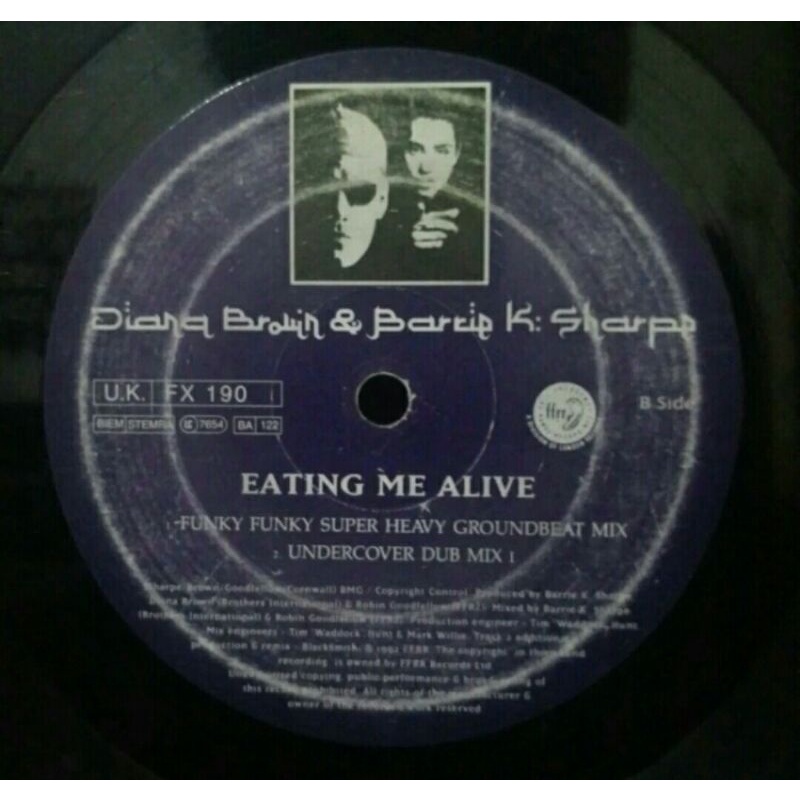 Vinyl Piringan Hitam 12&quot; Eating Me Alive