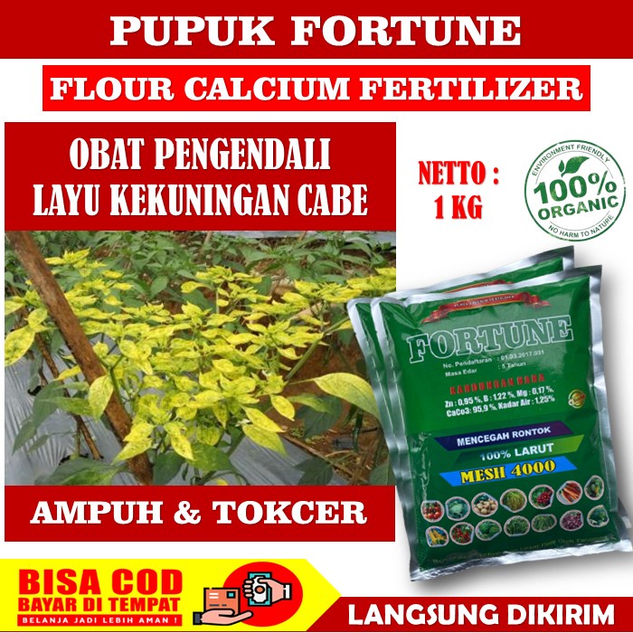 FORTUNE 1 KG Obat Hama Penyakit Layu / Kering Daun Cabe - FORTUNE 1 KG Pupuk Kalsium Obat Ampuh Meng