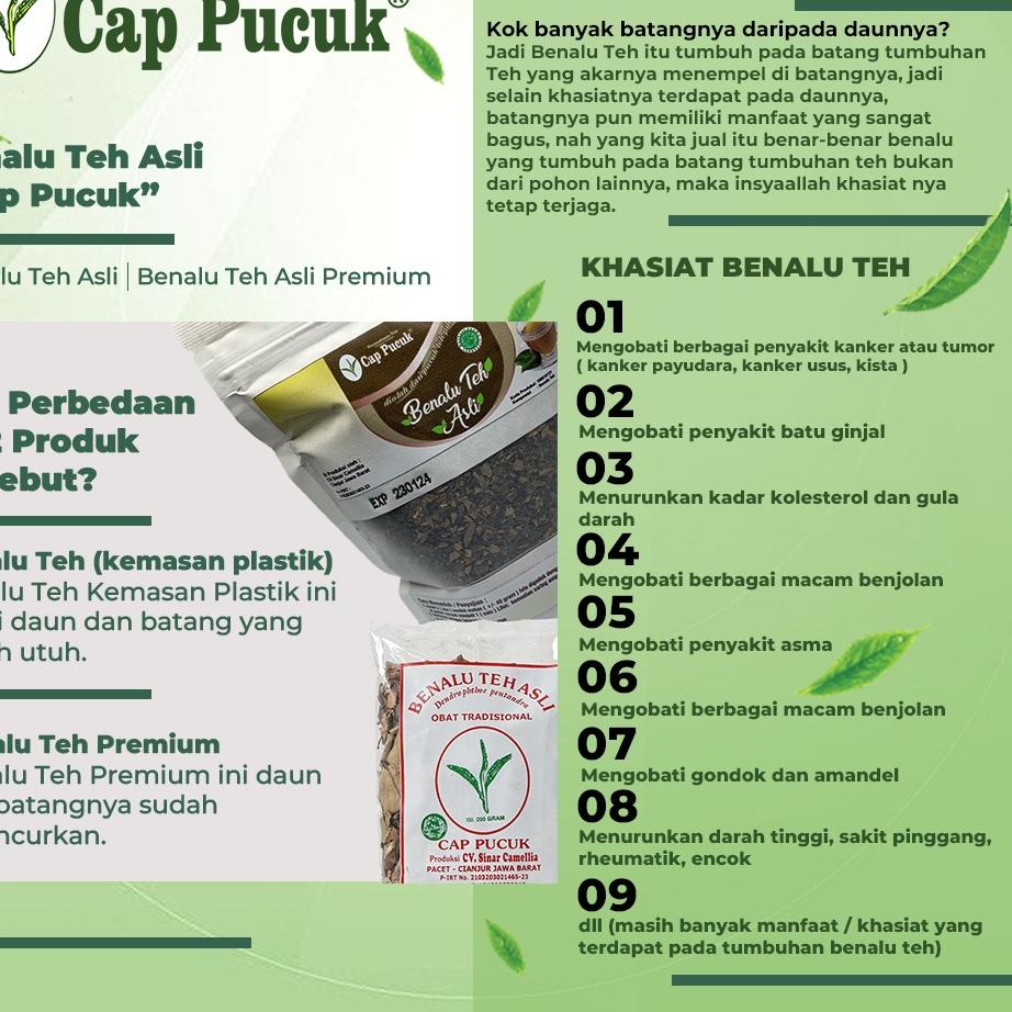 

[S-4E »] BENALU TEH ASLI CAP PUCUK "PREMIUM"-top produk