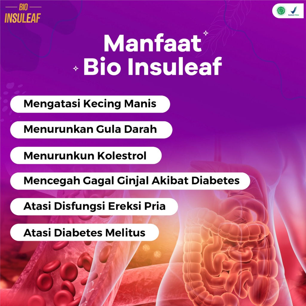 Paket 3 Botol Bio Insuleaf – Paket Bebas Diabetes Herabal Alami Bantu Atasi Gula Darah Tinggi Kencing Manis Diabetes Turunkan  Asam Urat Kolesterol Cegah Gagal Ginjal &amp; Perbaikan Sel Yang Rusak